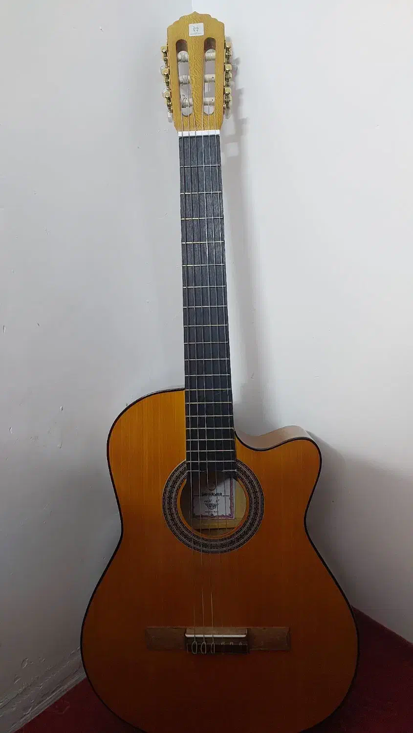 گیتار|گیتار، بیس، امپلیفایر|مشهد, الهیه|دیوار