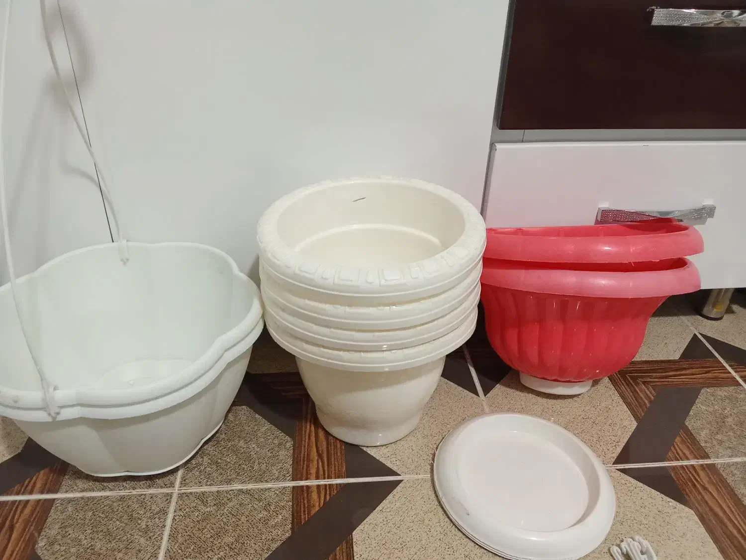 گلدان|گل و گیاه طبیعی|قصرشیرین, |دیوار