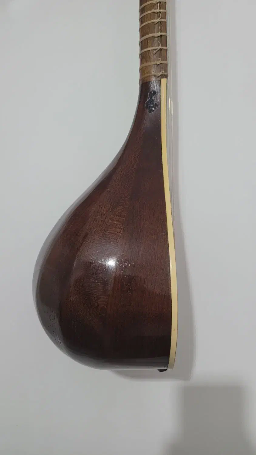 سه‌تار حرفه‌ای مهر برقی جانی|سازهای سنتی|سردشت, |دیوار