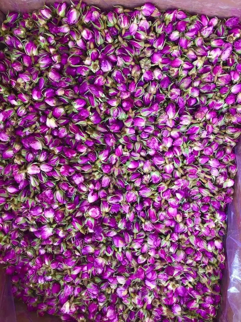 فروش تناژ گل محمدی دست اول از باغدار|گل و گیاه طبیعی|رستاق, |دیوار