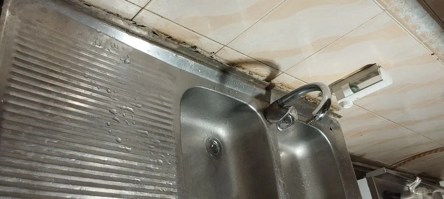 سینگ دوقلو|آب‌چکان و نظم‌دهنده ظروف|مشهد, نوید|دیوار