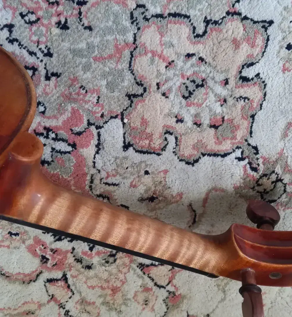 ویلن حرفه ای clemens p200|ویولن|کرج, کرج نو|دیوار