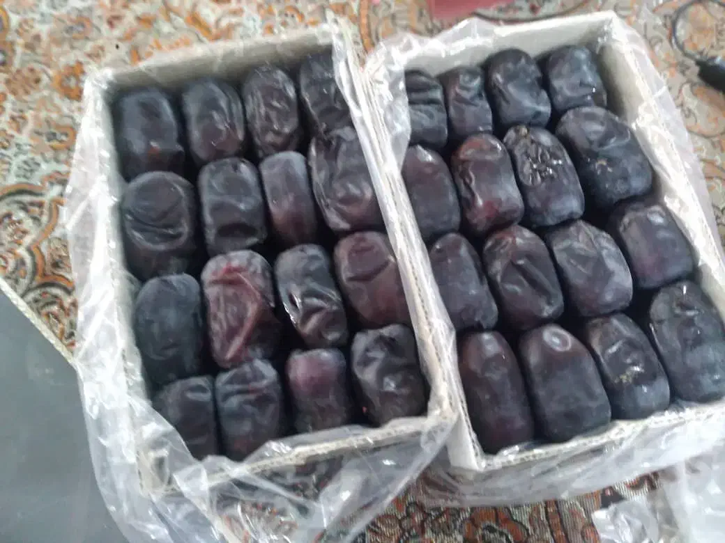 خرمافروشی|عمدهفروشی|بم, |دیوار