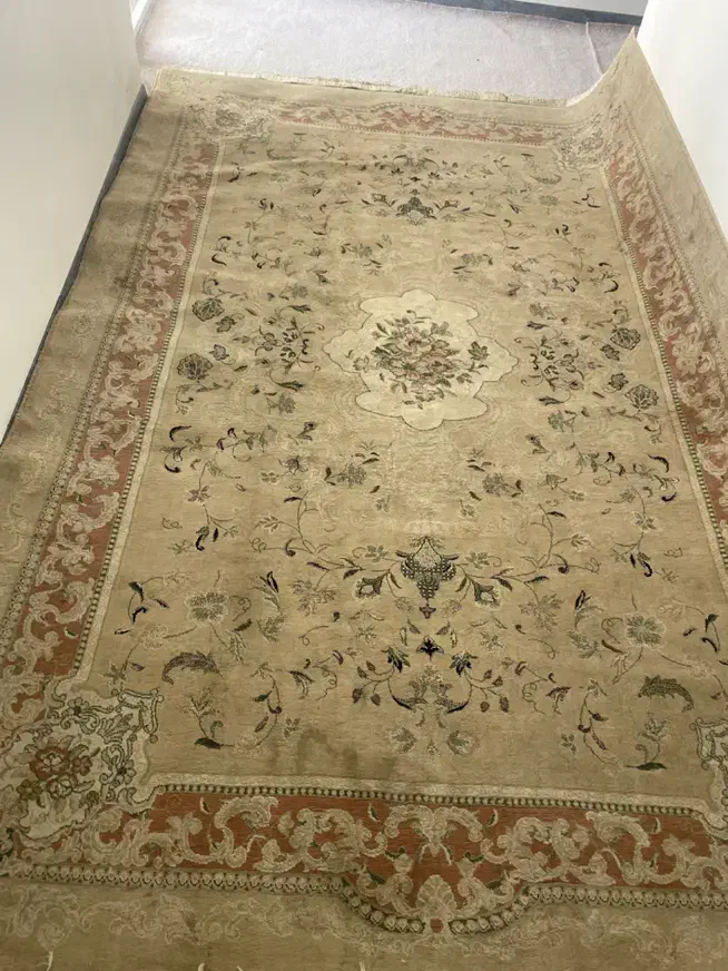 فرش ۹ متری کویر|فرش|رشت, یخسازی|دیوار