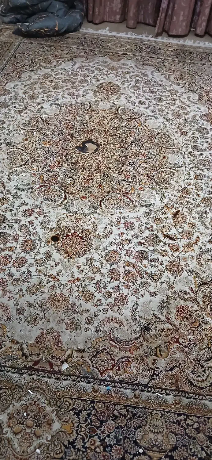 فرش ماشینی|فرش|کرج, باغستان|دیوار