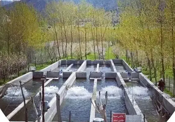 کار در مزرعه پرورش ماهی|استخدام صنعتی، فنی، مهندسی|کردکوی, |دیوار