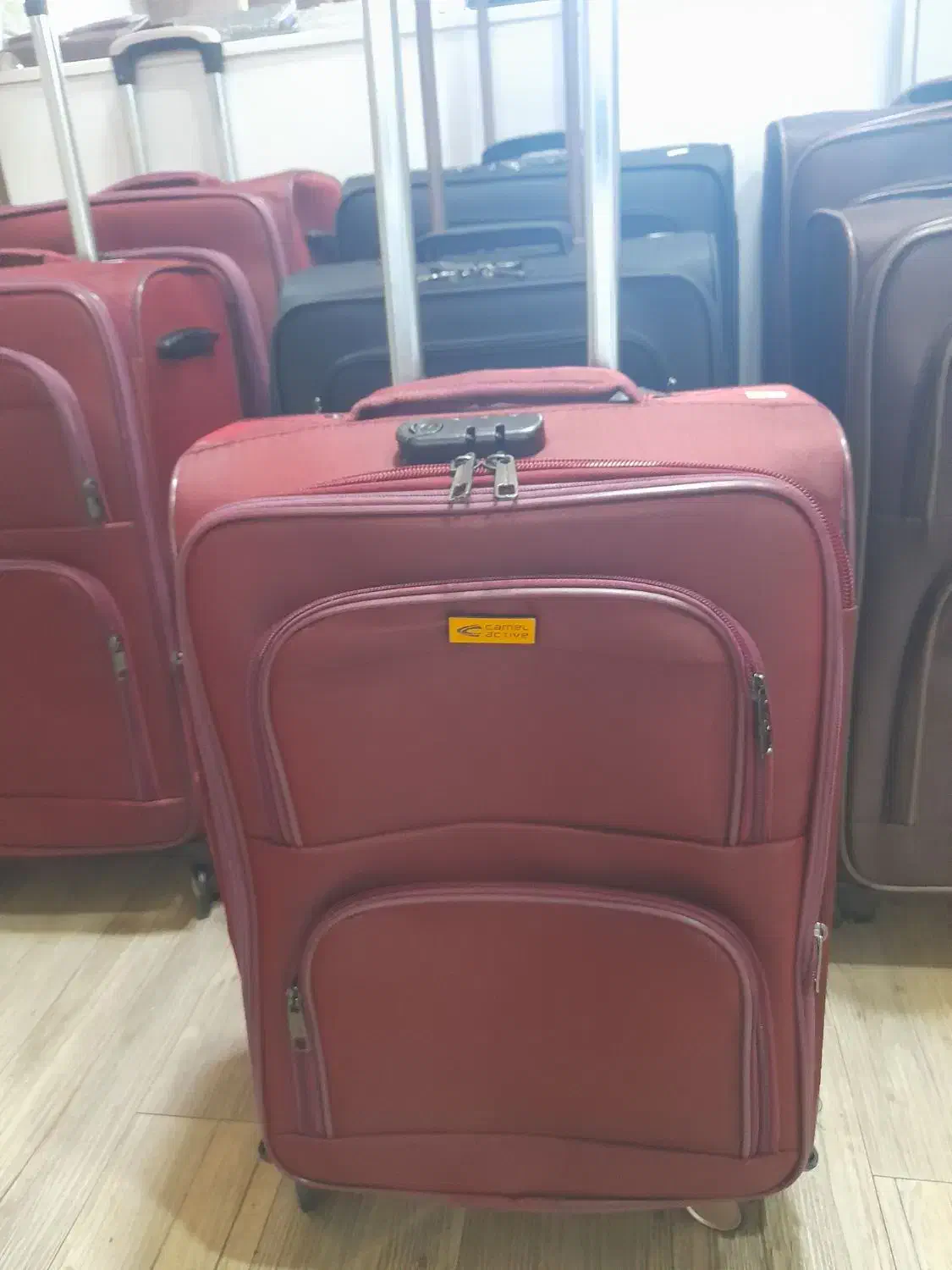 چمدان|کیف، کفش، کمربند|پردیس, فاز ۱|دیوار