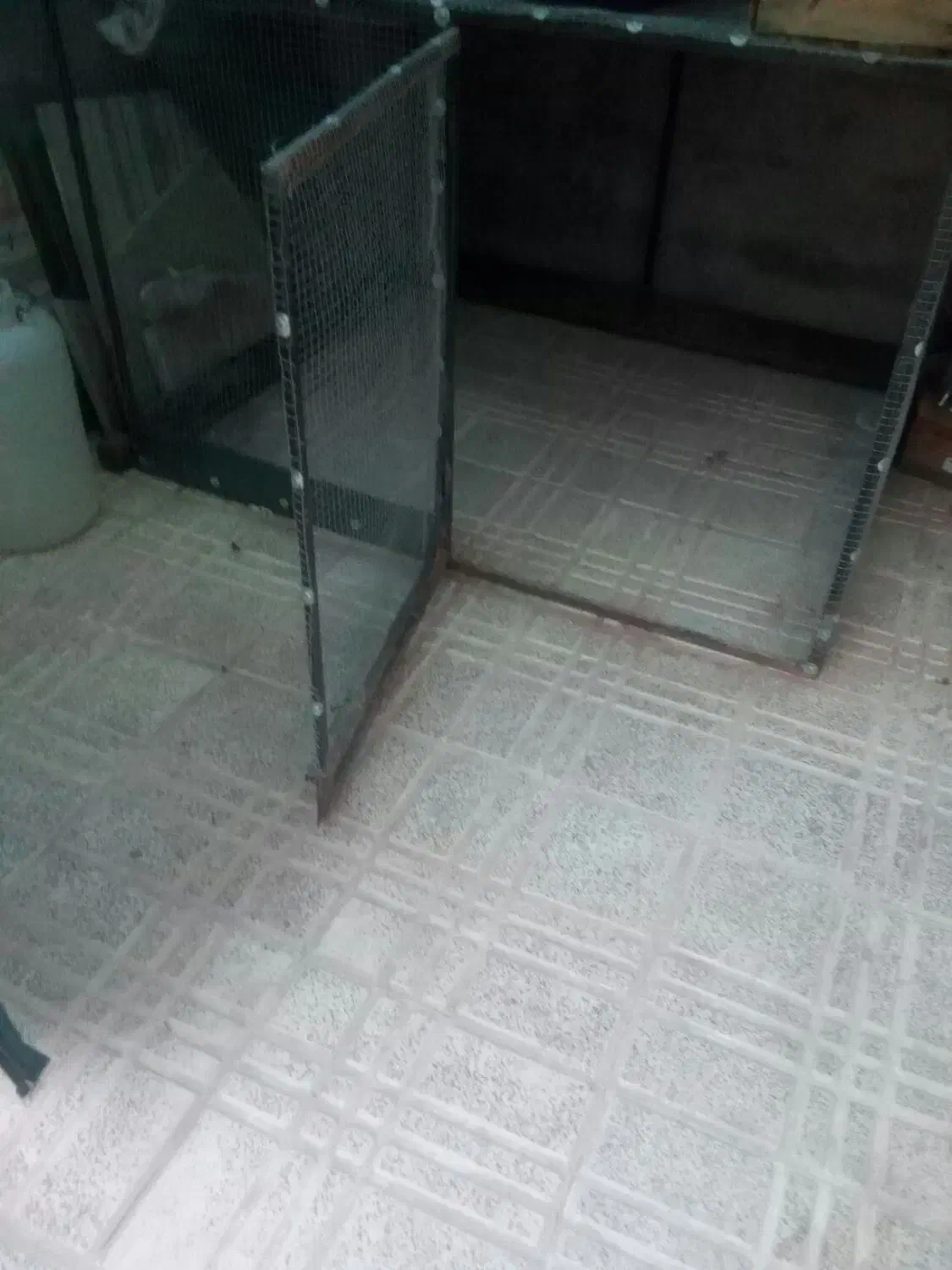 قفسبزرگ|پرنده|بروجن, |دیوار