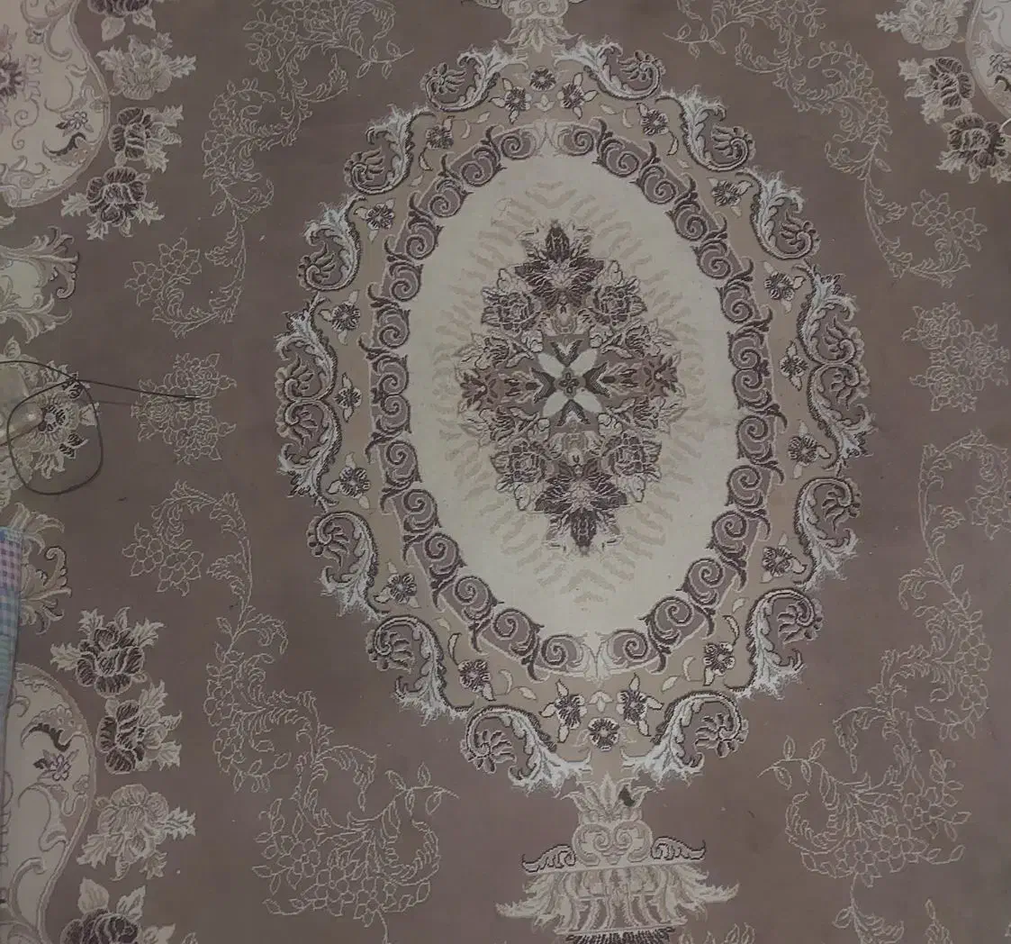 فرش|فرش|مرودشت, استادیوم‎|دیوار