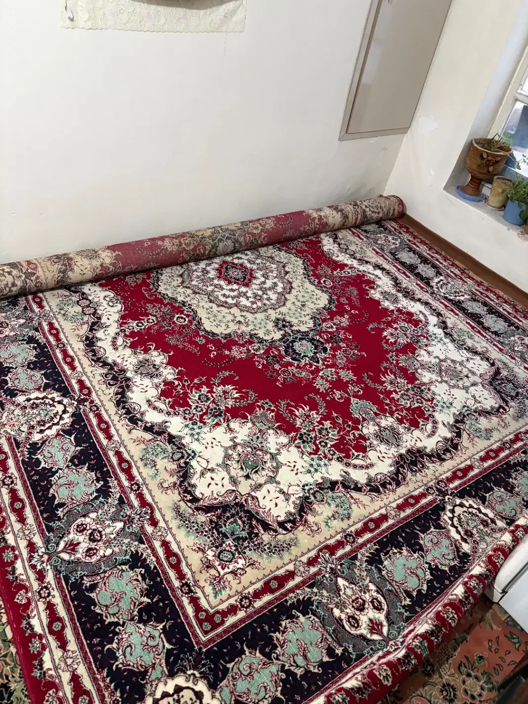 فرش ماشینی ۱۲متری درحدنو|فرش|تبریز, |دیوار