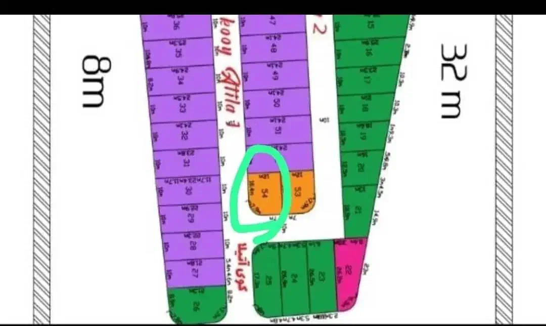 کود شیمیایی سیاه و سفید|گل و گیاه طبیعی|خوی, |دیوار