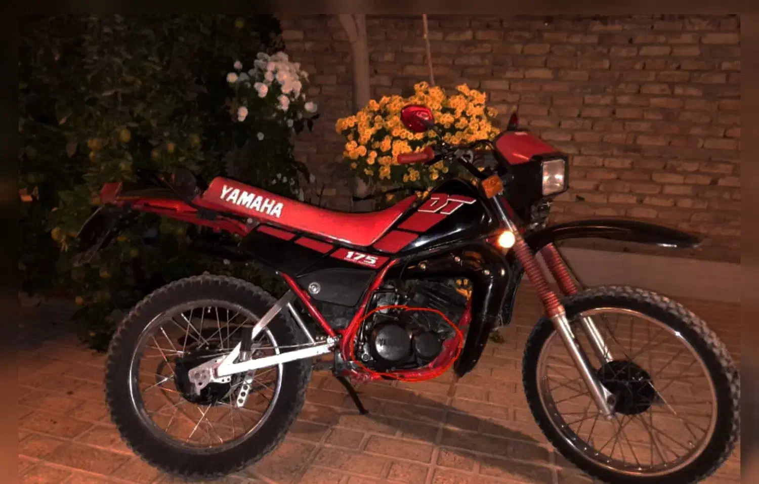 موتور سیکلت|موتورسیکلت|مرودشت, رودبال|دیوار