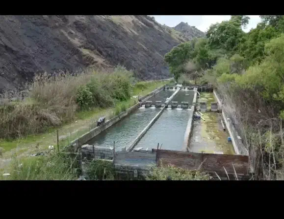 پرورش ماهی/شیلات|اجارهٔ دفتر صنعتی، کشاورزی، تجاری|پاپی, |دیوار