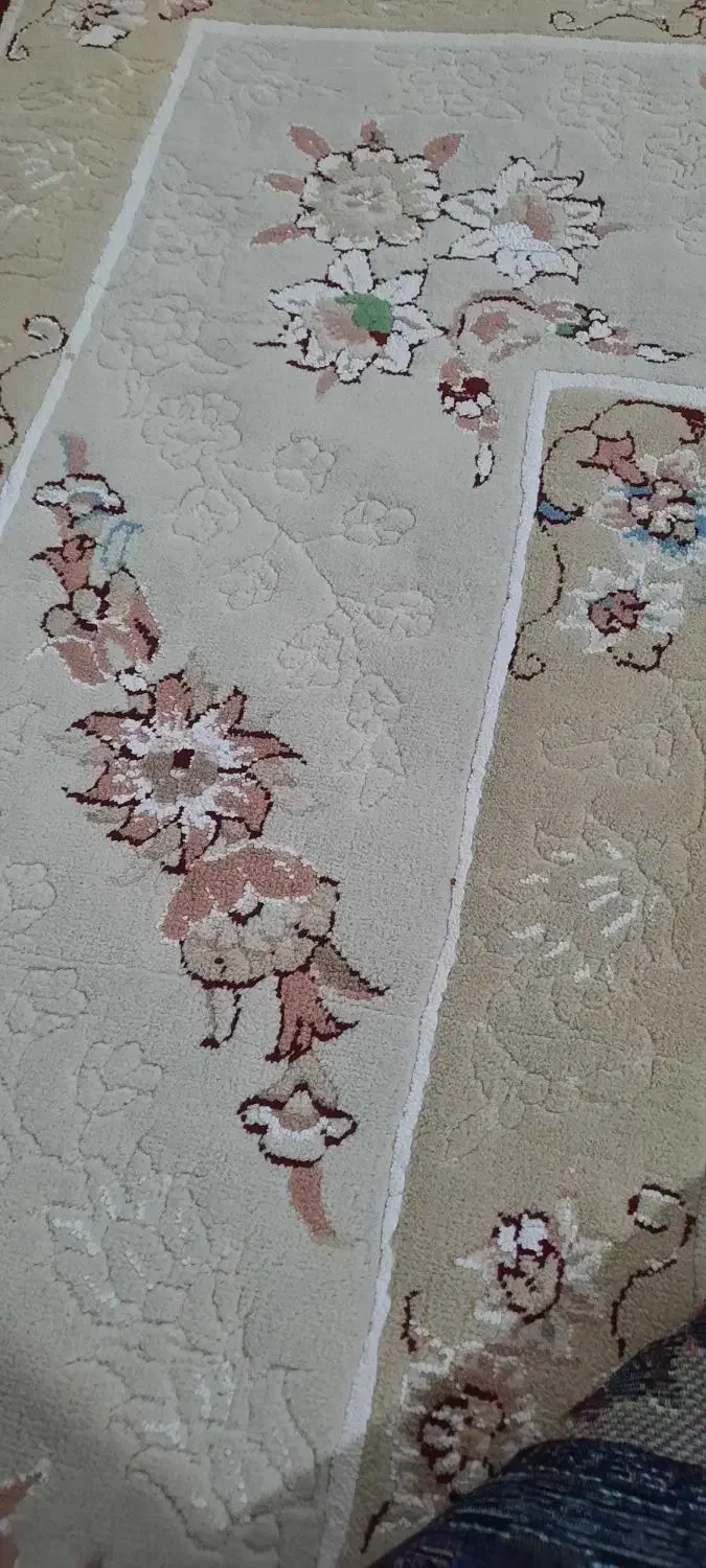 دوتا فرش ۱۲ متری|فرش|بجنورد, |دیوار