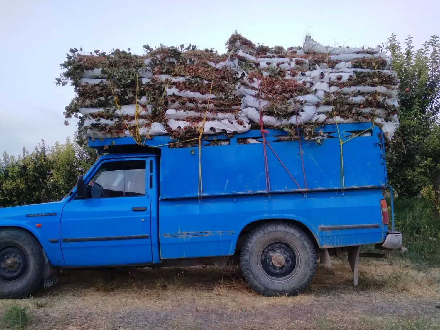 حمل بار با نیسان|خدمات حمل و نقل|قوچان, |دیوار