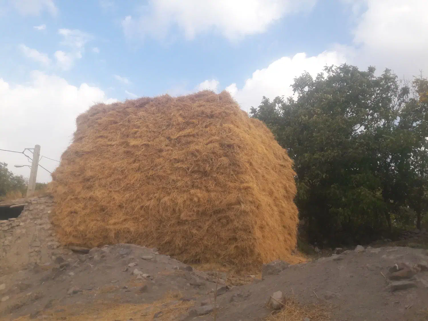 علف دست بسته شده ۱۰۰۰عدد برای فوروش|لوازم جانبی حیوانات|خلخال, |دیوار