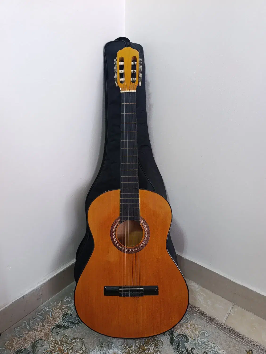 گیتار|گیتار، بیس، امپلیفایر|بندرعباس, |دیوار