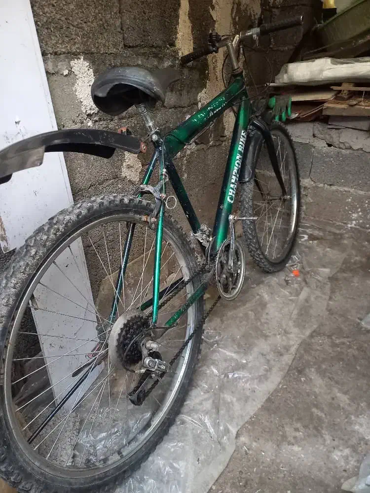 دوچرخه  26|دوچرخه، اسکیت، اسکوتر|صومعه‌سرا, |دیوار