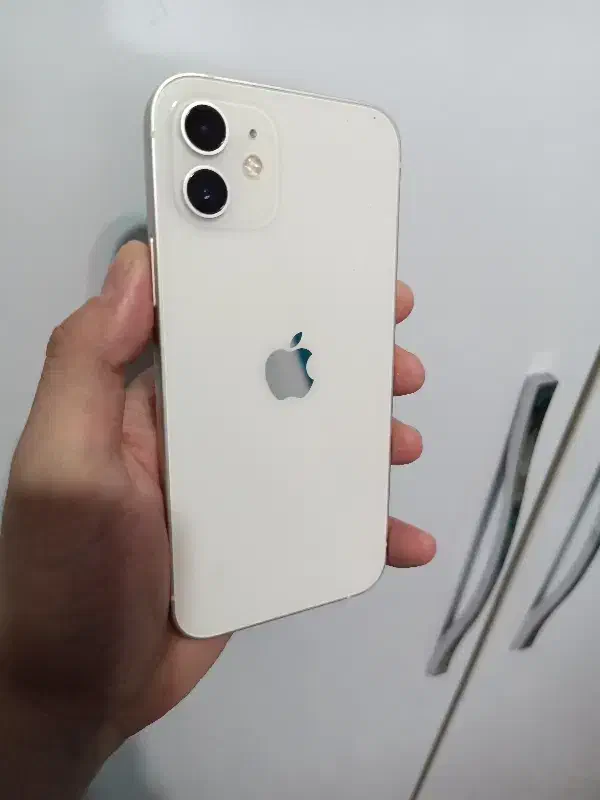 iphone 12 Normal 128 CH|موبایل|بندر انزلی, پیل علی باغ|دیوار