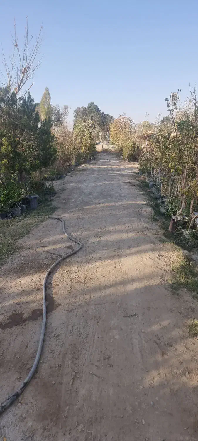 **۱۵۰۰ متر زمین اجاره‌ای در ماهدشت**|اجارهٔ دفتر صنعتی، کشاورزی، تجاری|محمدشهر, محمدشهر|دیوار