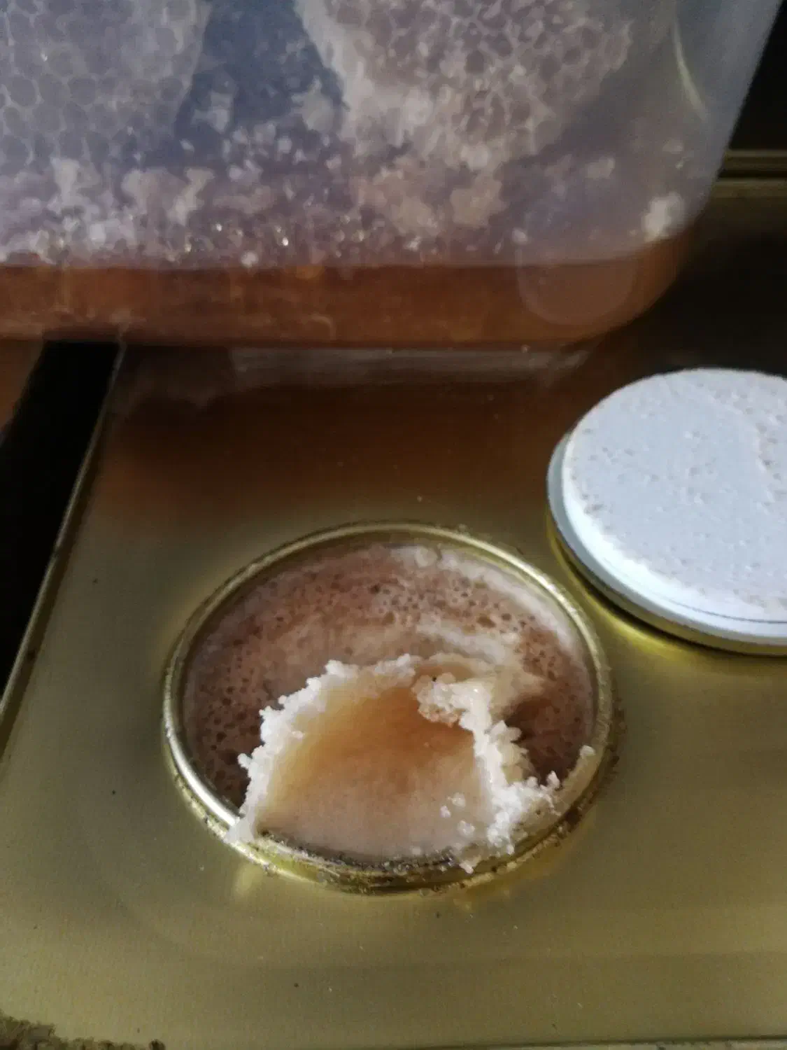 عسل شهد|خوردنی و آشامیدنی|پیرانشهر, |دیوار