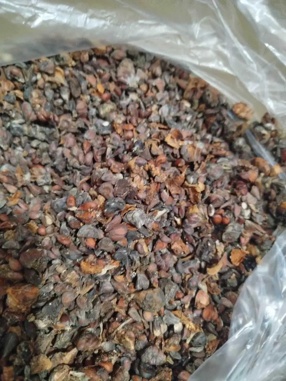 دانه به|خوردنی و آشامیدنی|لیسار, |دیوار