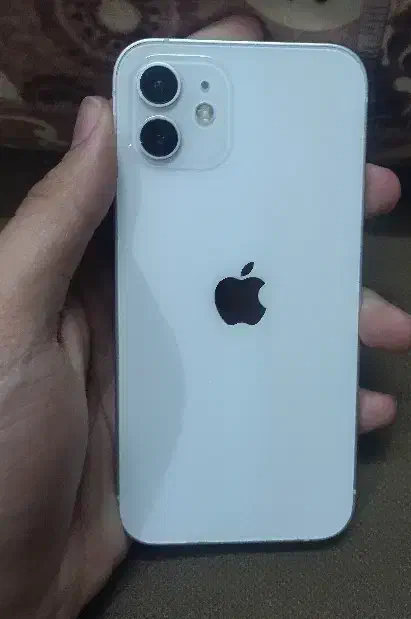 دوسیم iphone 12  CH|موبایل|مشهد, شهرک امام هادی (شهرک غرب)|دیوار