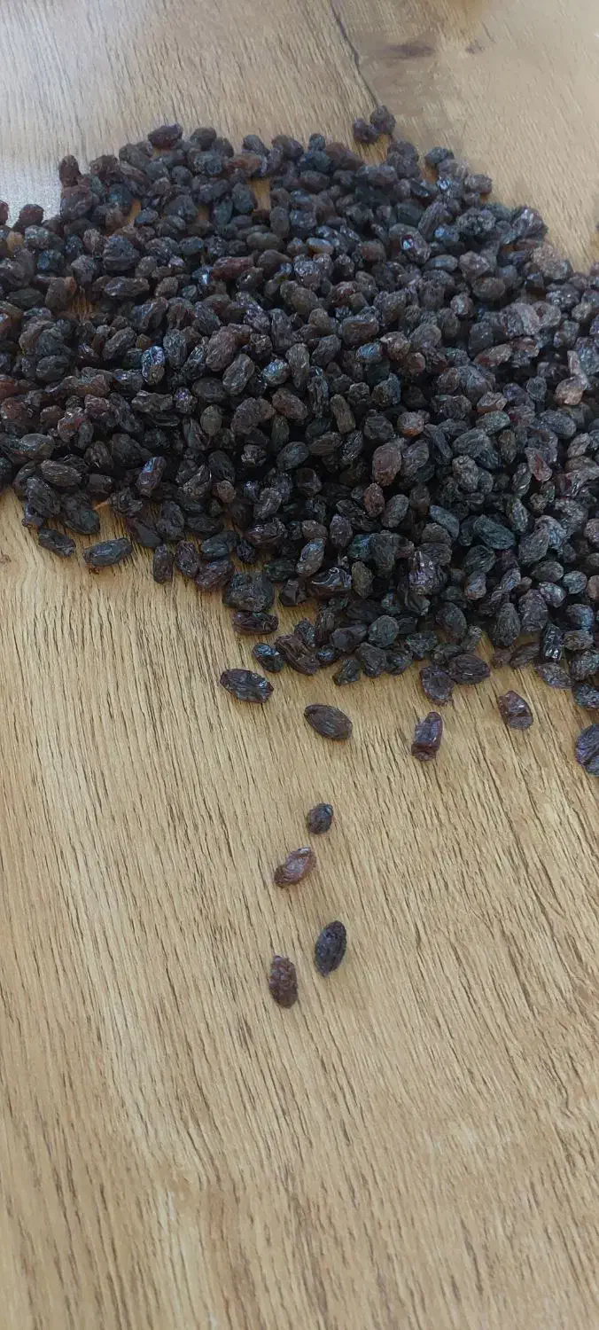 کشمش آفتابی|خوردنی و آشامیدنی|قم, شهدا|دیوار