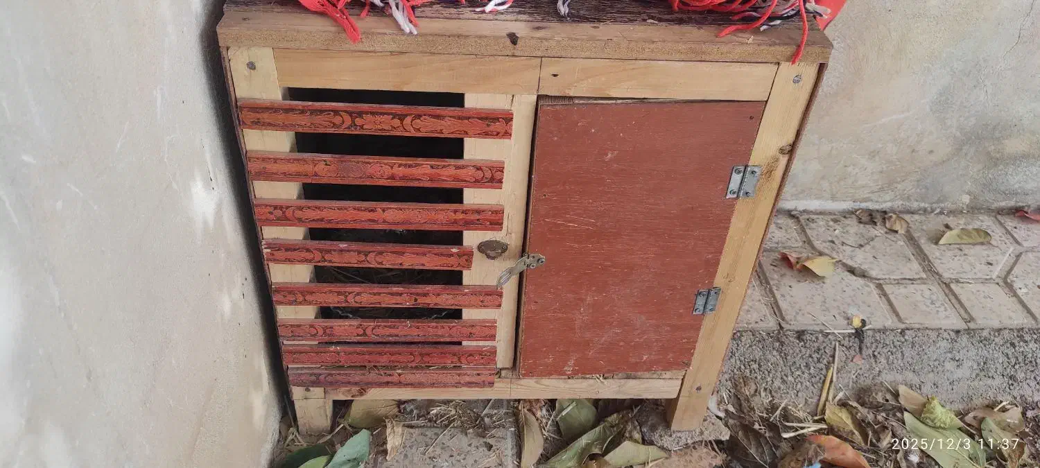 مرغ و خروس|حیوانات مزرعه|هرسین, |دیوار