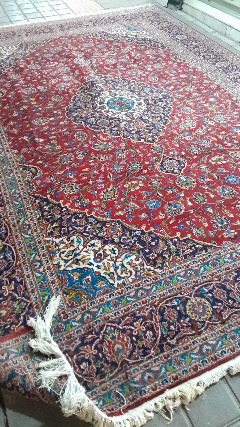 فرش  ۱۲ متری دستباف کاشمر|فرش|اندیشه, اندیشه فاز ۱|دیوار