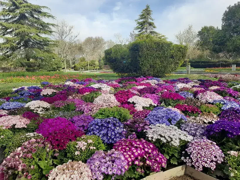 انجام کلیه امورات باغبانی وفضای سبز|خدمات باغبانی و درختکاری|شیراز, گلدشت معالیآباد|دیوار