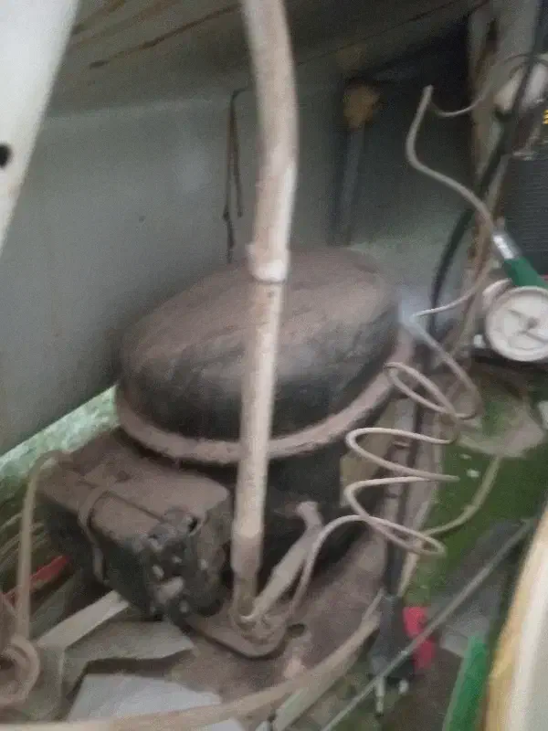 یخچال|یخچال و فریزر|یزد, |دیوار