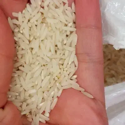 برنج هاشمی درجه یک|خوردنی و آشامیدنی|رشت, حومه رشت|دیوار