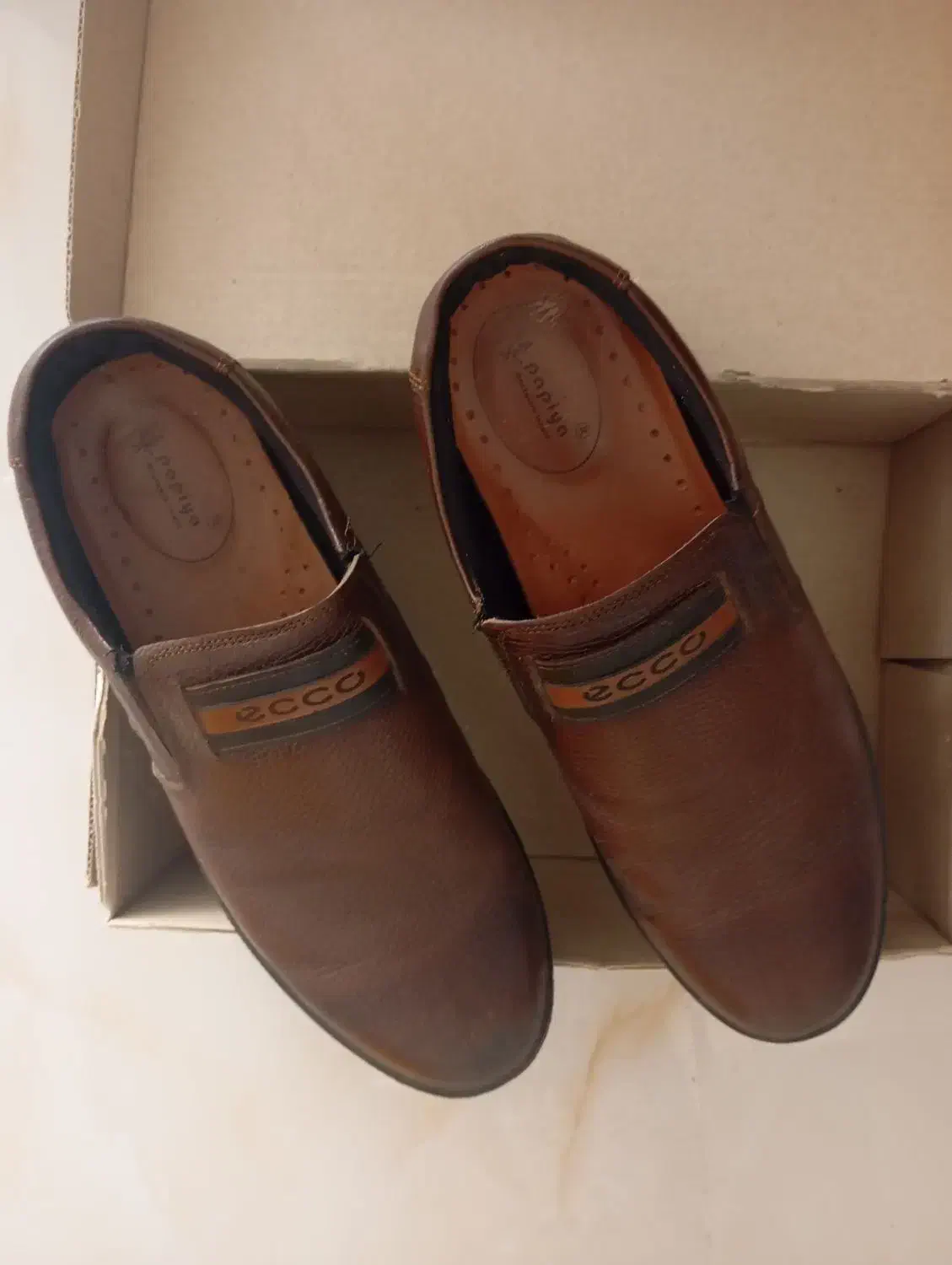 کفش|کیف، کفش، کمربند|شیراز, شهرک آرین|دیوار