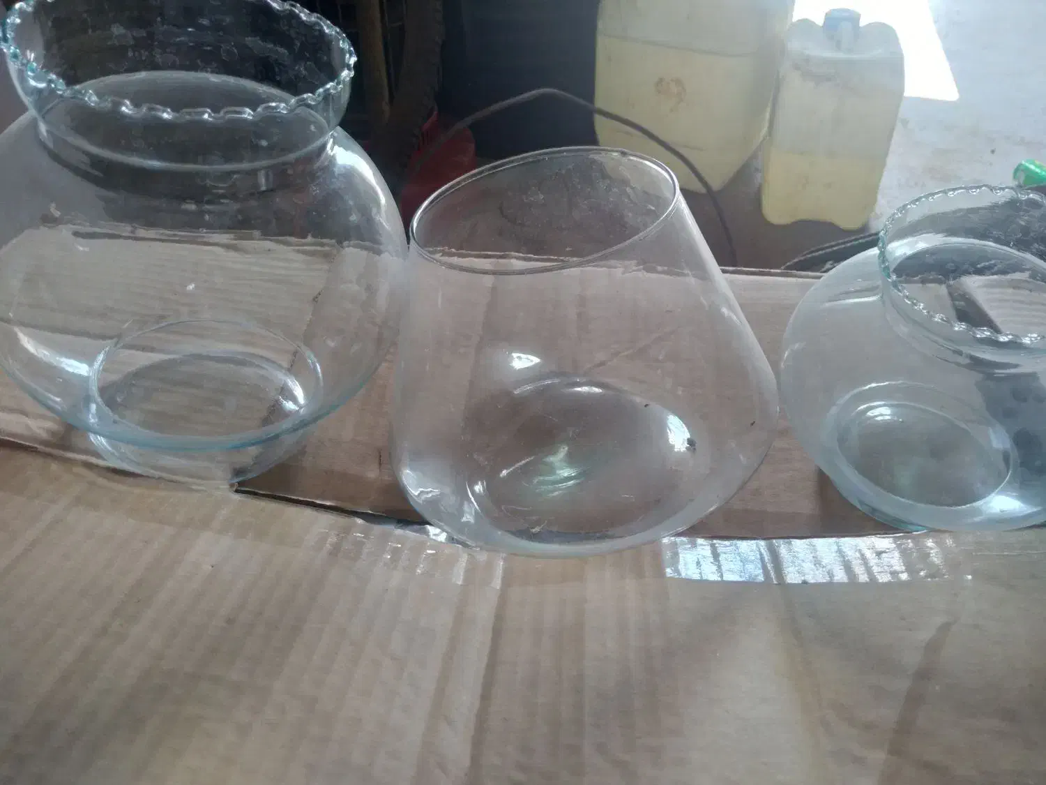 آکواریوم|ماهی|کرمان, |دیوار