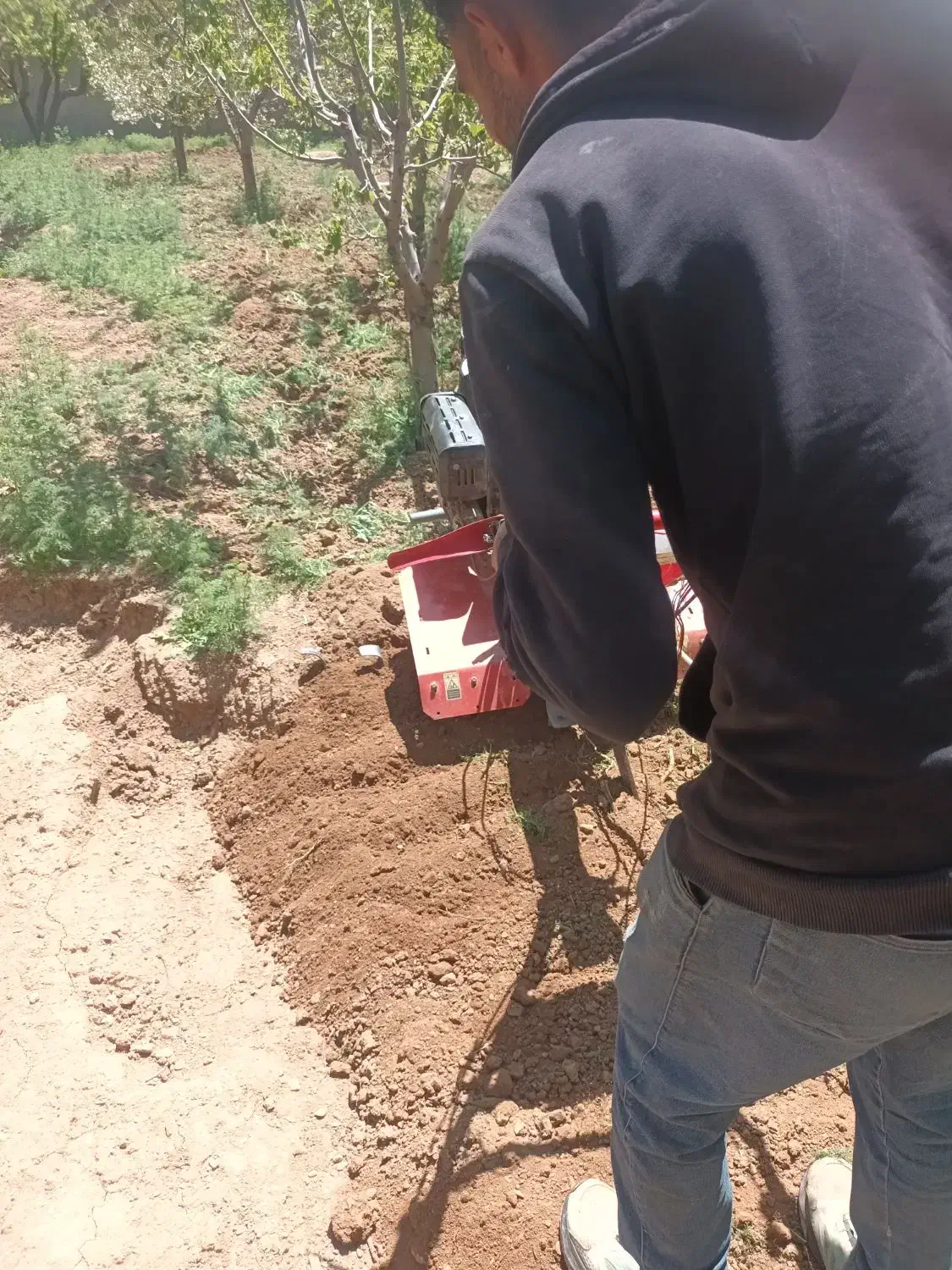 اجرای ابیاری قطره ای ساخت استخرساختمانآلاچیق باغ|خدمات باغبانی و درختکاری|ساوه, |دیوار