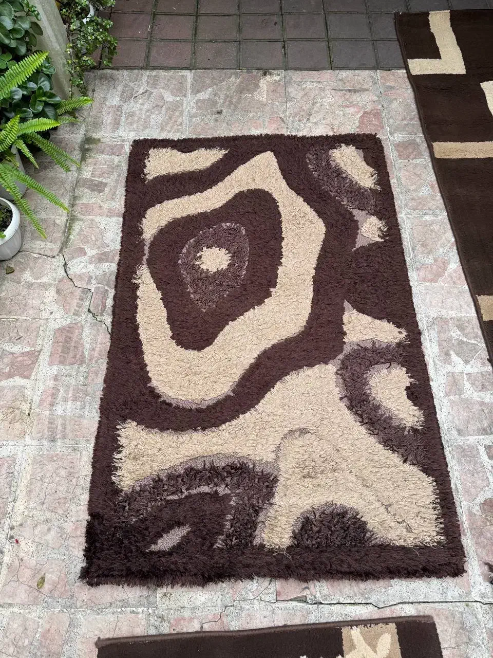 فرش قهوه ای کاملا تمیز|فرش|لاهیجان, کوی خزر|دیوار