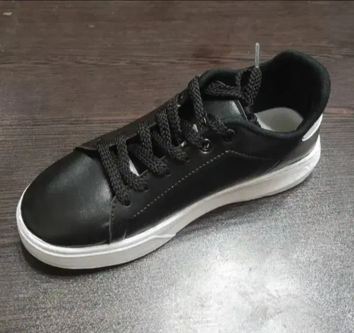 کفش|کیف، کفش، کمربند|بیرجند, |دیوار