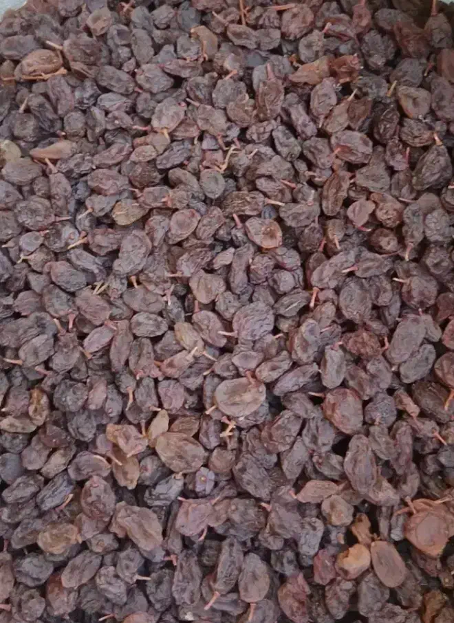 کشمش درجه یک بیدانه|خوردنی و آشامیدنی|اسفرورین, |دیوار