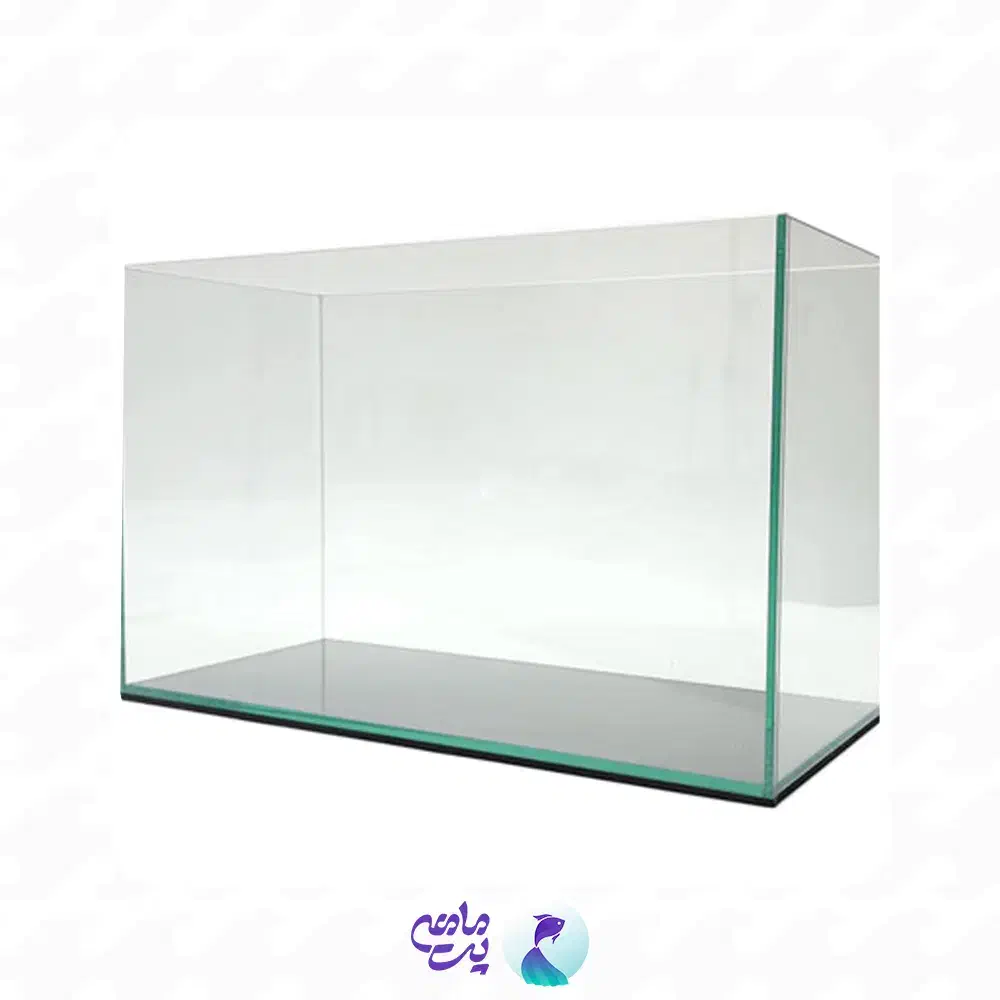 اکواریوم|ماهی|همدان, |دیوار