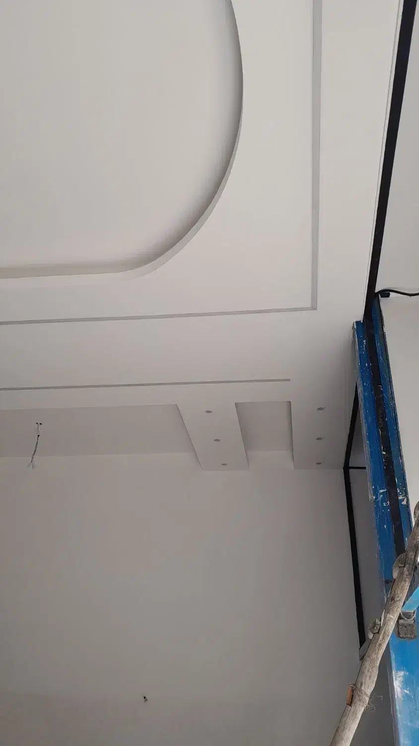 اجرای تخصوصی لاین  نوری|خدمات پیشه و مهارت|سنندج, |دیوار