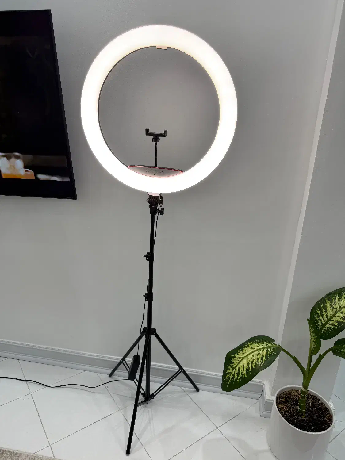 رینگ لایت + پایه ۲.۵ متری|دوربین عکاسی و فیلم‌برداری|مشهد, رضاشهر|دیوار