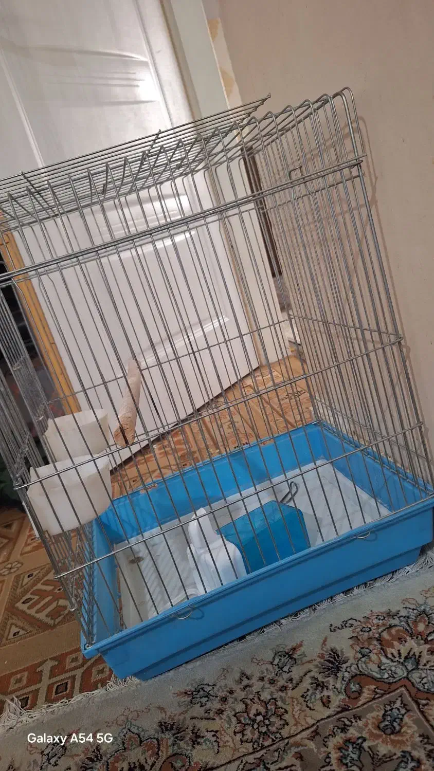 قفس مسافرتی|لوازم جانبی حیوانات|کرج, شهرک فهمیده|دیوار