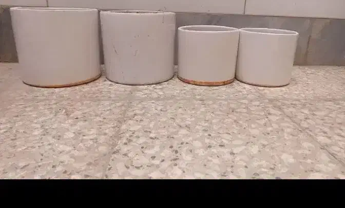 چهار عدد گلدان|گل و گیاه طبیعی|آران و بیدگل, |دیوار