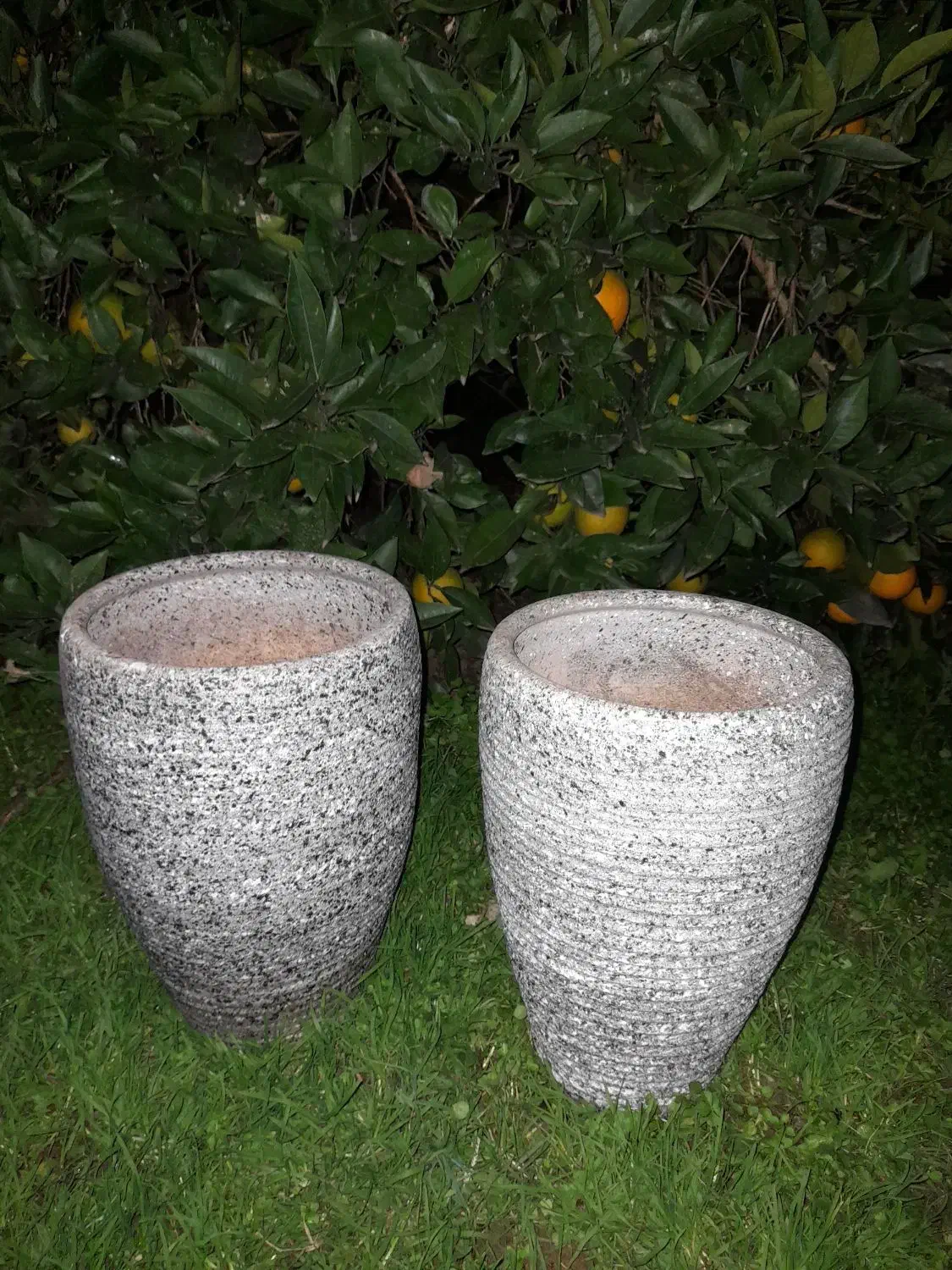 گلدان سفالی|گل و گیاه طبیعی|پرهسر, |دیوار