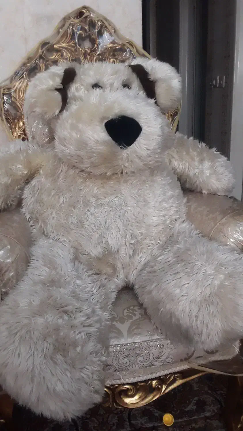 عروسک پولیشی|اسباببازی بچه|ری, دیلمان|دیوار