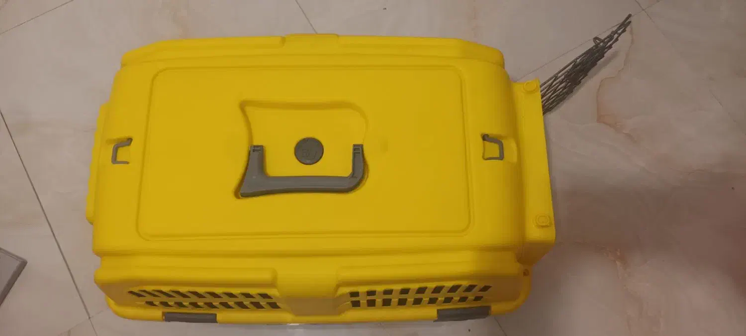 باکس حمل سگ و گربه|لوازم جانبی حیوانات|پردیس, فاز ۱|دیوار