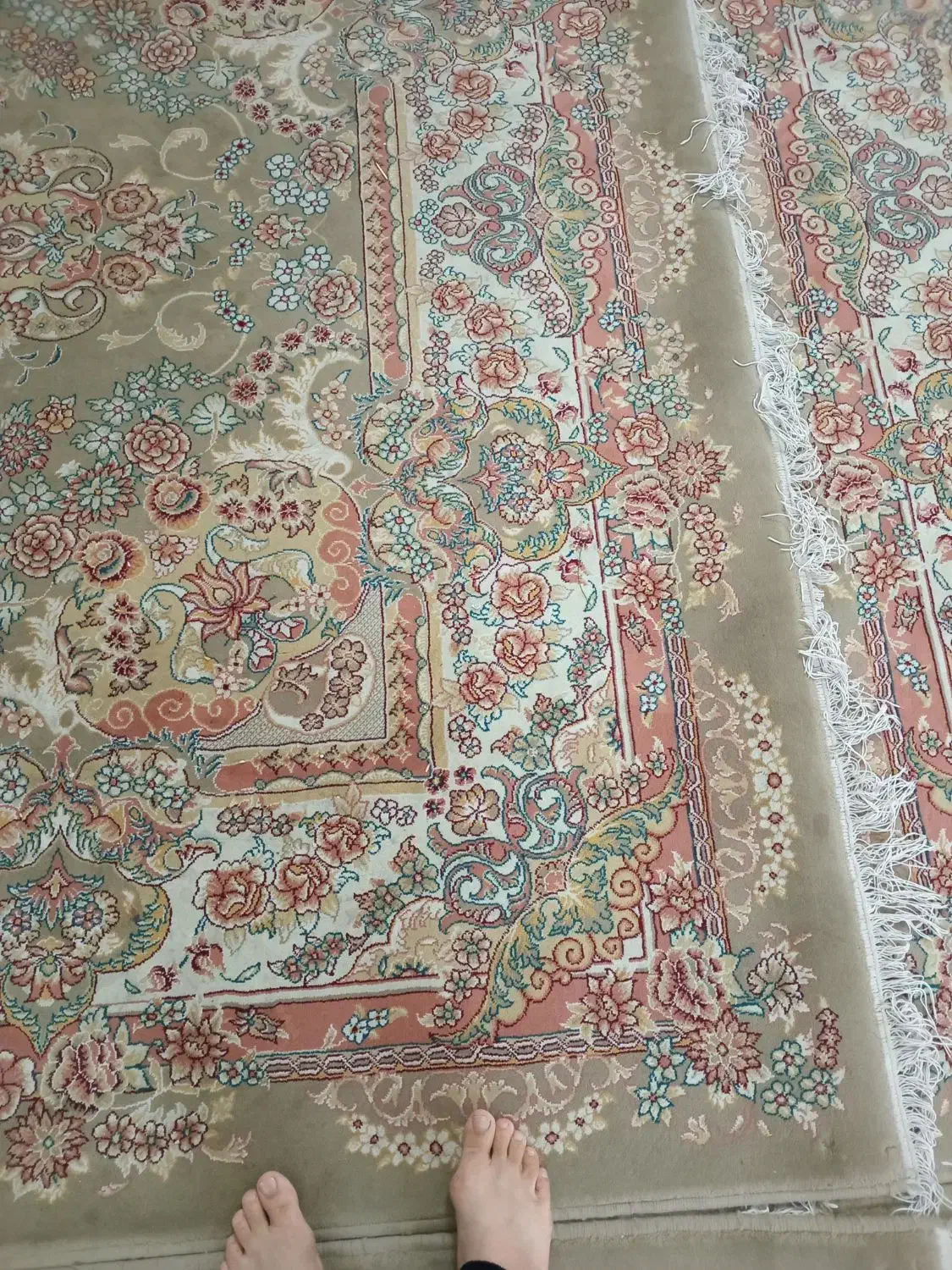 ۴عدد فرش۹متری|فرش|تربت‌حیدریه, داروپخش|دیوار