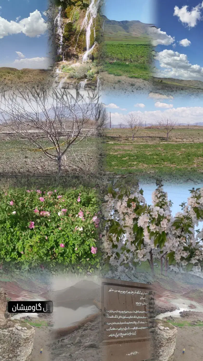 تولید و پخش محصولات لبنی نان وکلوچه محلی|خدمات پذیرایی، مراسم|ملایر, |دیوار