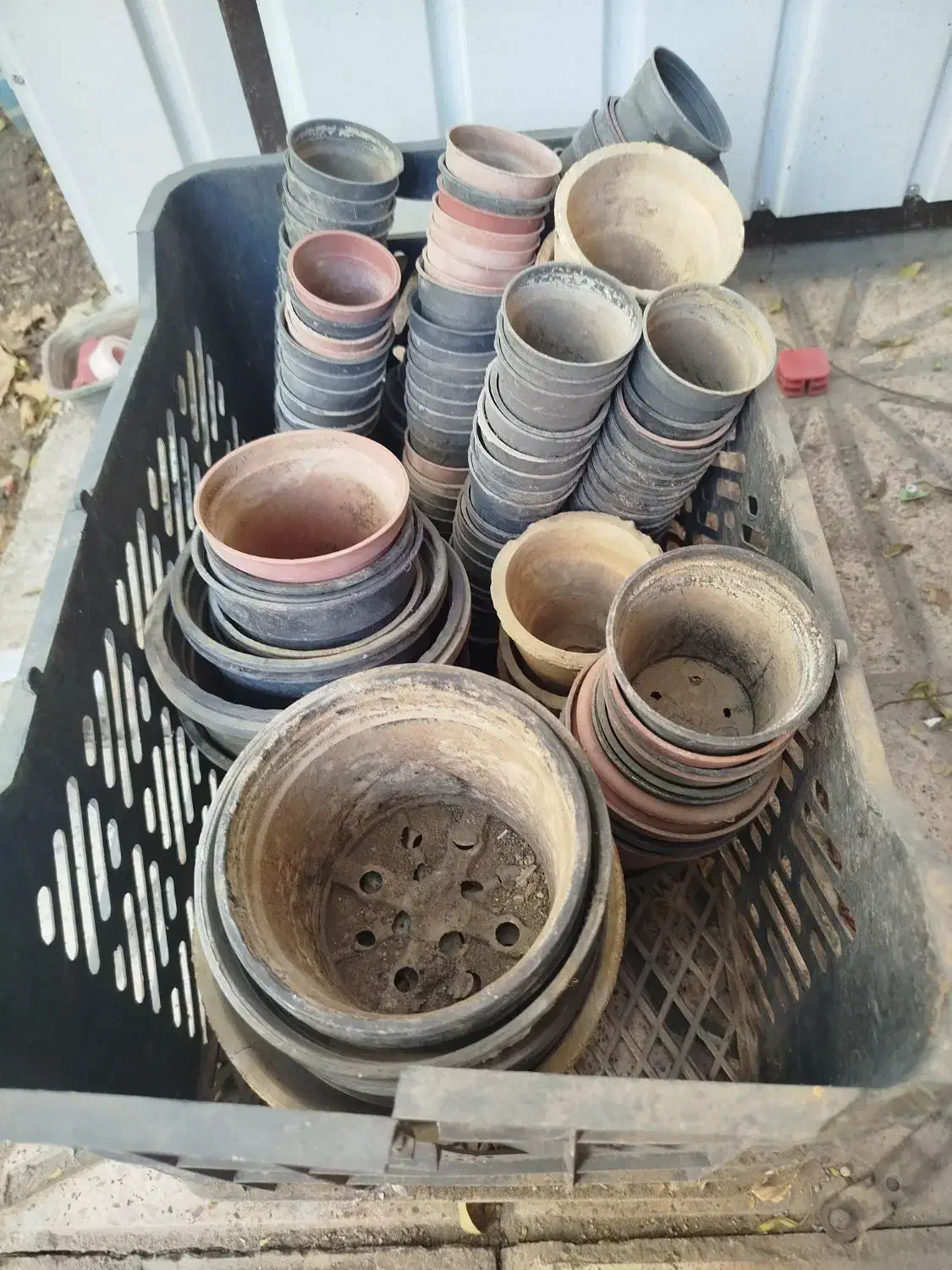 گلدان خالی|گل و گیاه طبیعی|شاهرود, |دیوار